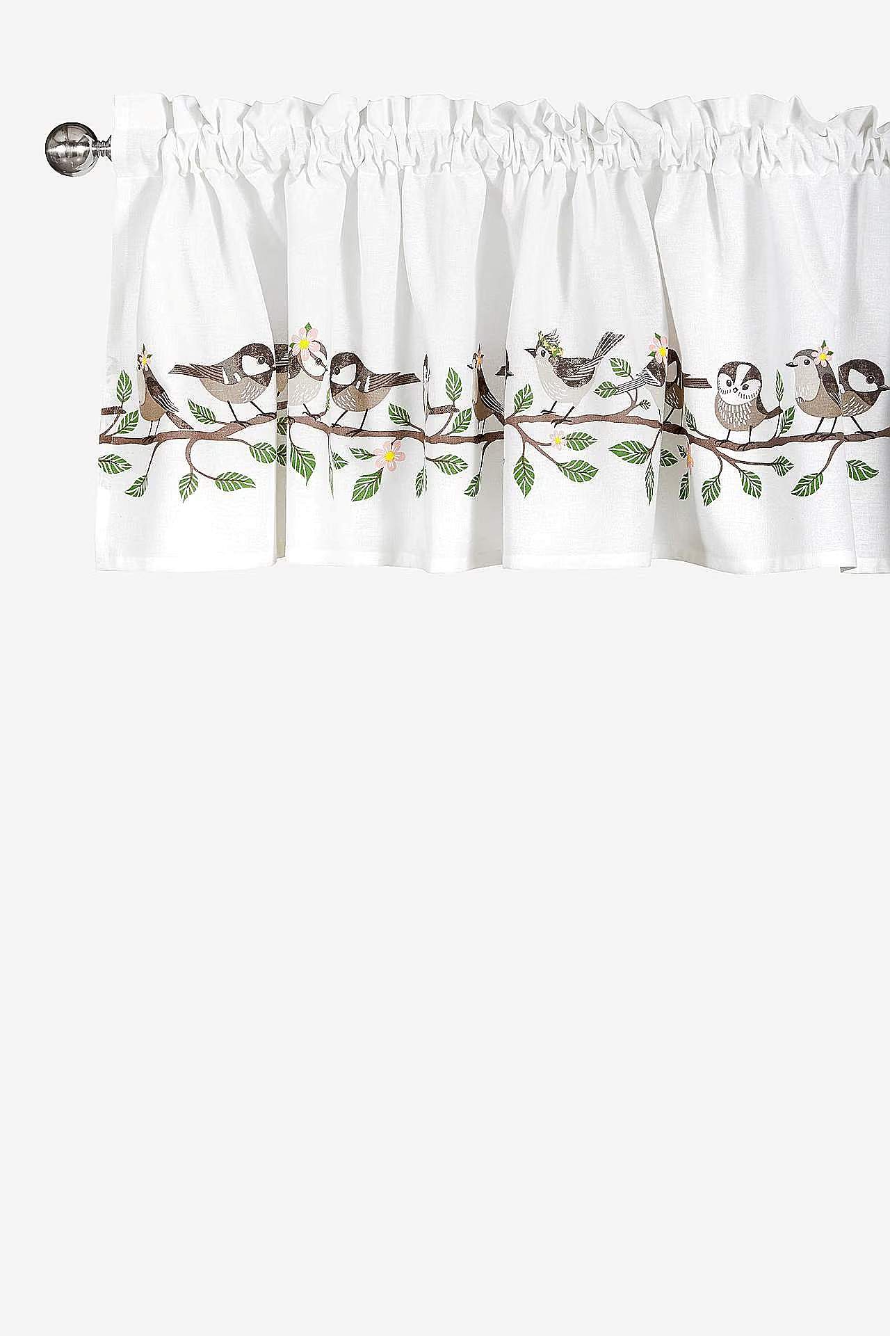 Lambrekens Vårfåglar Birds Birds