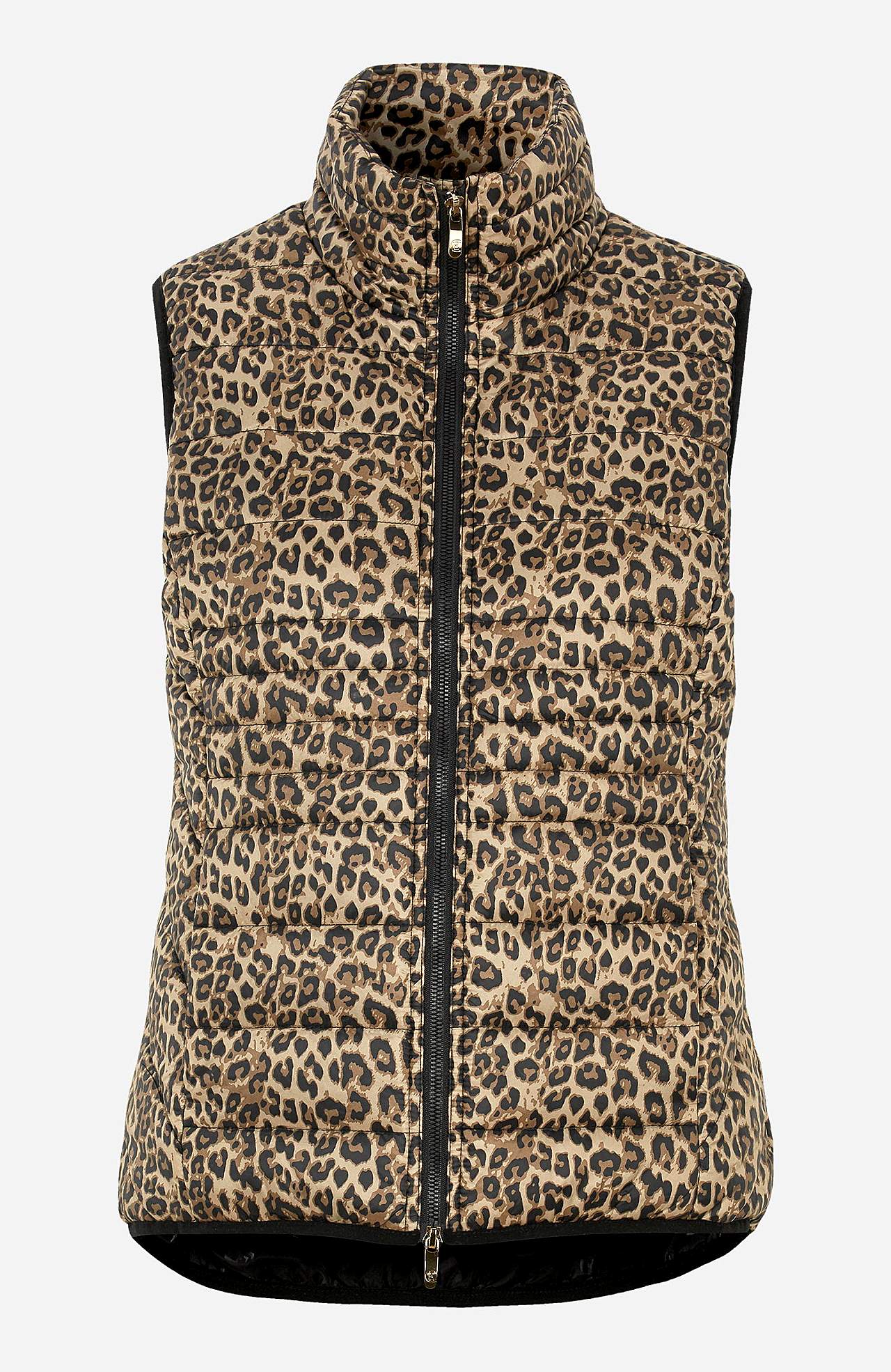 Rakstaina viegla veste